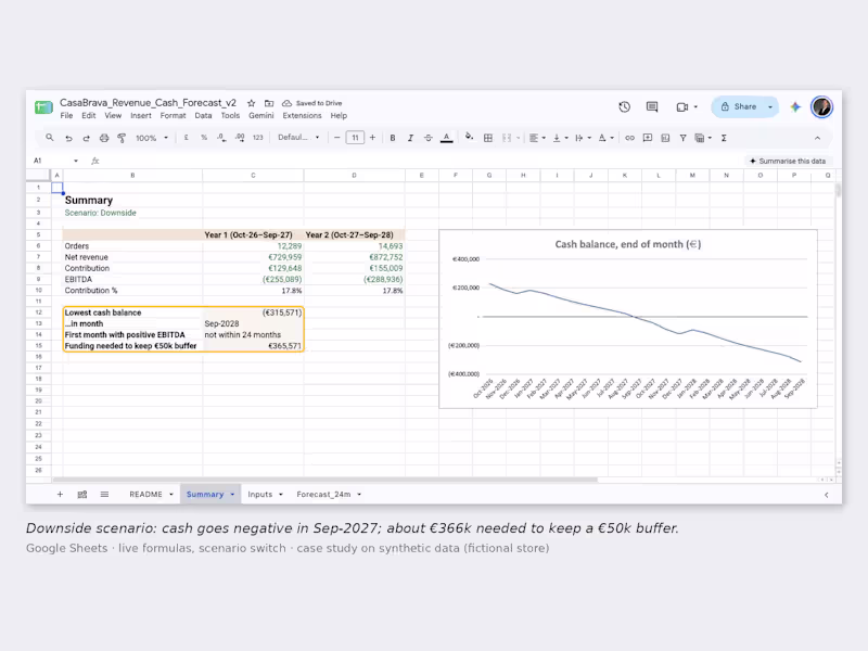 Cover image for Revenue and Cash Flow Forecast Model for Your Online Store