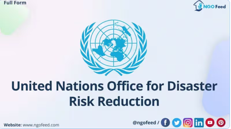 Cover image for Proofreading a UN Paper on Disaster Risk Reduction