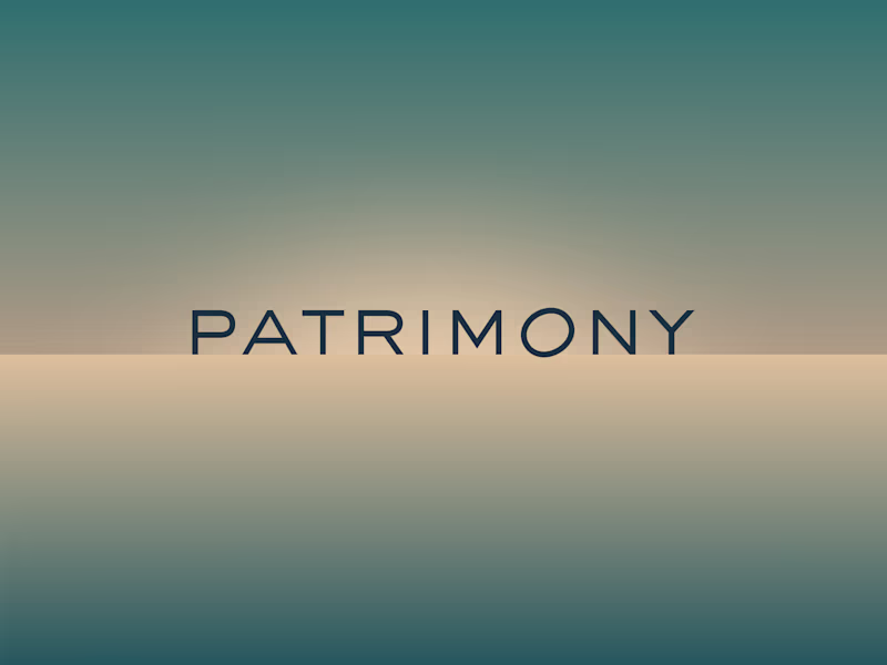 Cover image for Patrimony — Wealth Management for the Next Generation