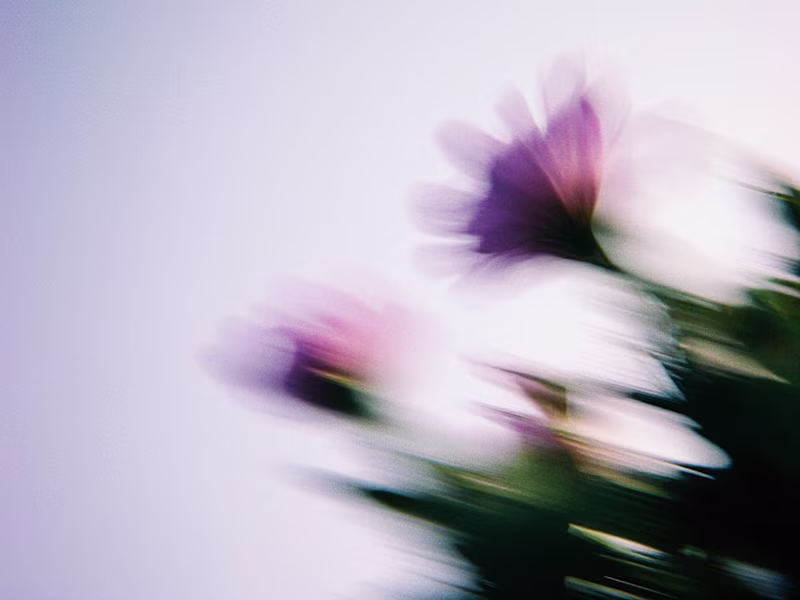 Cover image for Between States: A Visual Experiment