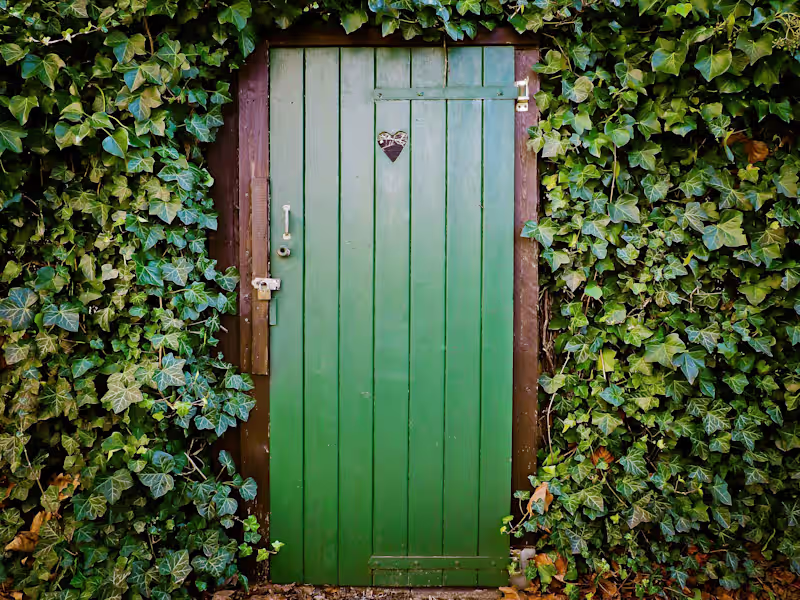 Cover image for The Wrong Doors 