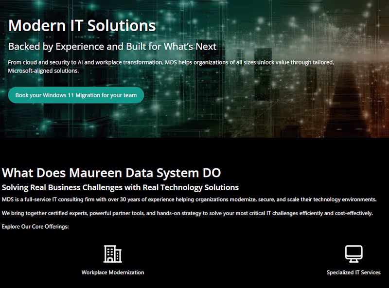 Cover image for The largest IT company in