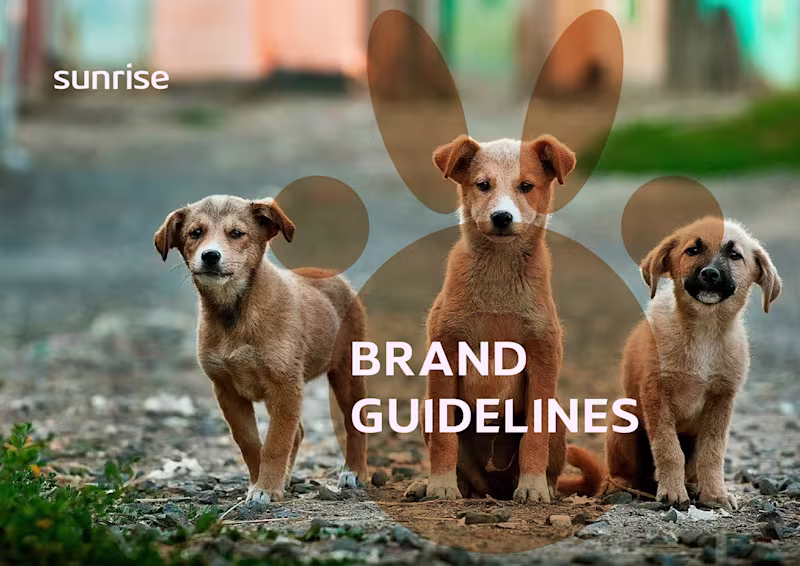 Cover image for Sunrise Brand Identity