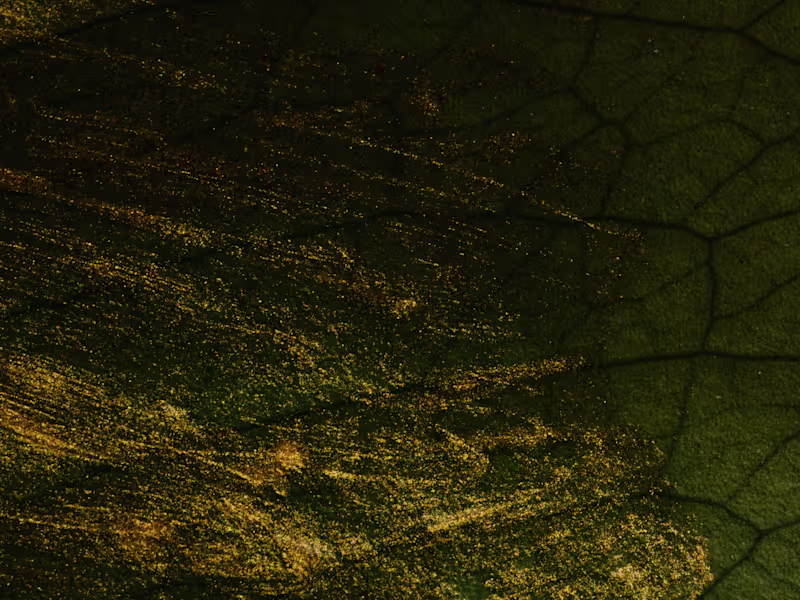 Cover image for Web Site Creation and Content 