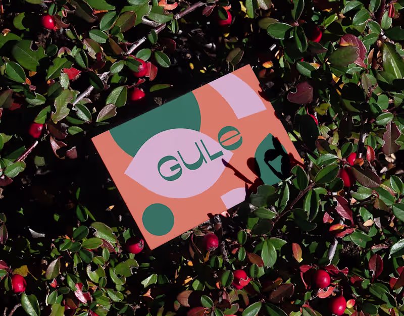 Cover image for Gule
