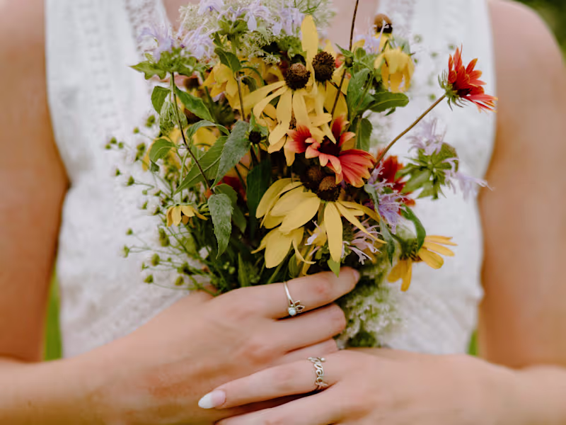 Cover image for Photography