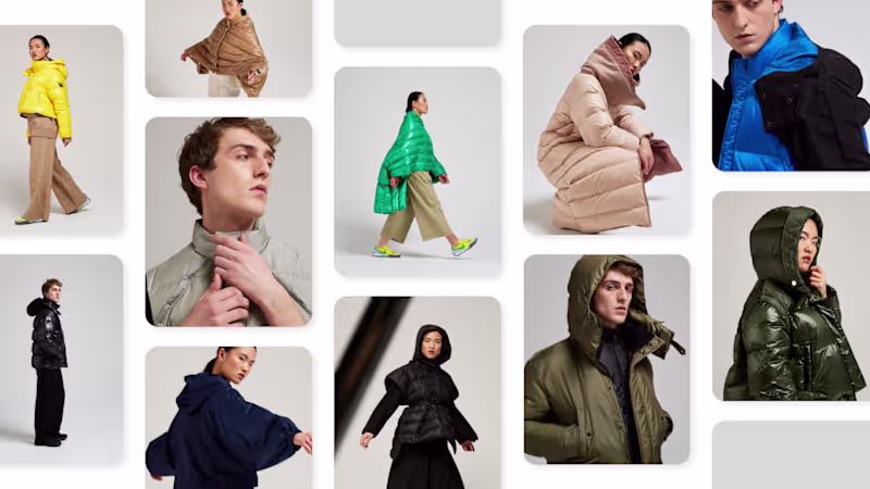 Cover image for Anitroc - Art Direction and Website