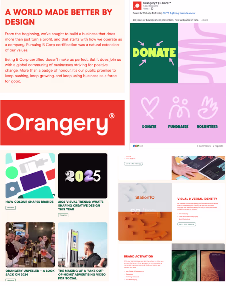 Cover image for I worked with Orangery to lead
