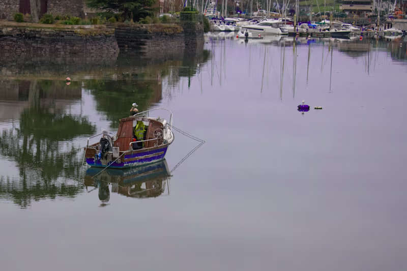 Cover image for Landscapes & Castles — Ireland