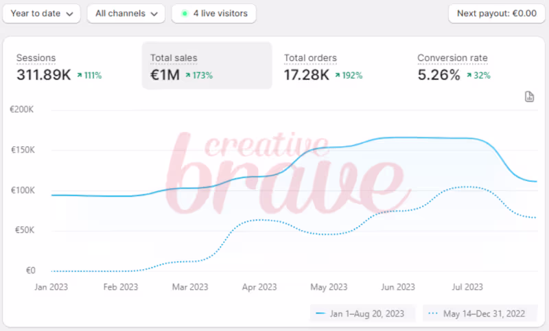 Cover image for How we helped a cosmetic brand reach
1 million euros in revenue