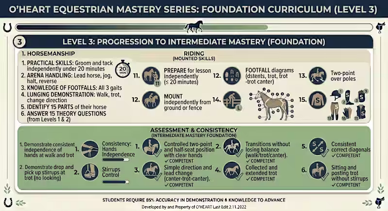 Cover image for Developed a comprehensive, multi-level framework