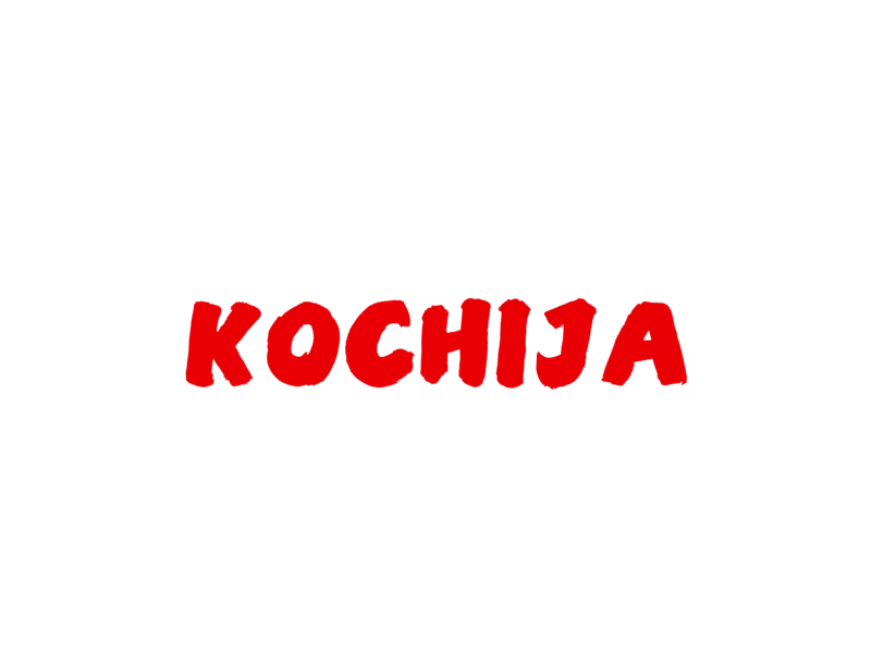 Cover image for Kochija is a playful vegetarian