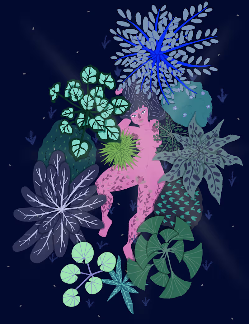 Cover image for Illustrations