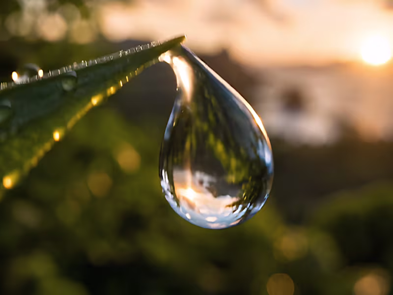 Cover image for One Drop, One World
Description
A single