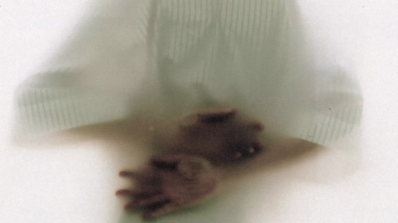 Cover image for Presentation Lookbook