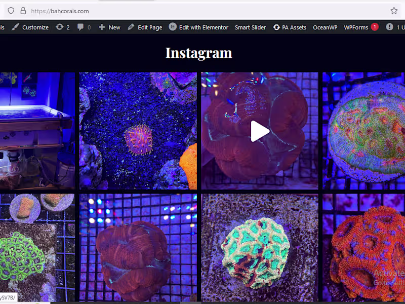 Cover image for I will design wordpress site or blog and redesign