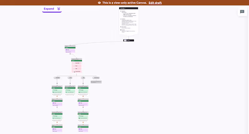 Cover image for Braze Consultant | Canvas Architecture & Lifecycle Automation