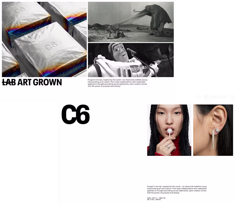 Cover image for C6 Jewelry Lab Brand Development
