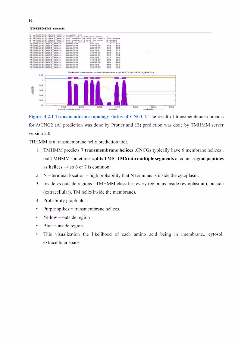Cover image for TMHMM Analysis