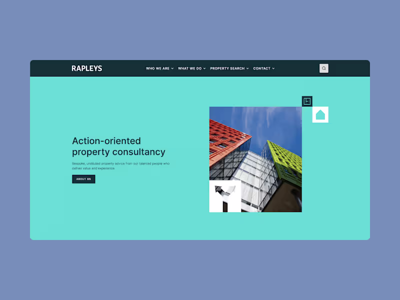 Cover image for Rapleys
