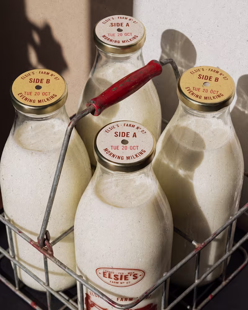 Cover image for Elsie's: brand identity and packaging