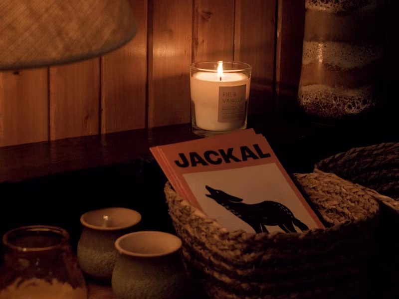 Cover image for Jackal - Navan