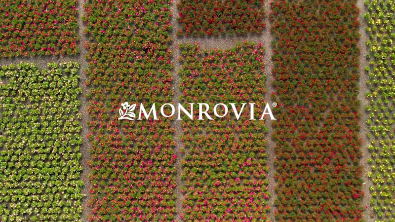 Cover image for Monrovia Sales Sizzle Reel