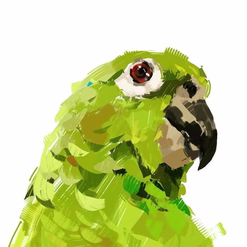 Cover image for Parrot Illustration