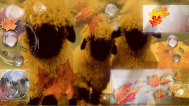 Cover image for My Fall PC Wallpaper🍁🌂 : A break down of the Warm fall Ton...
