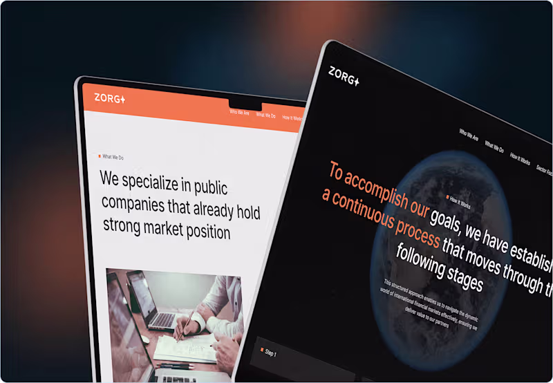 Cover image for Zorg – Online Investment Experience
