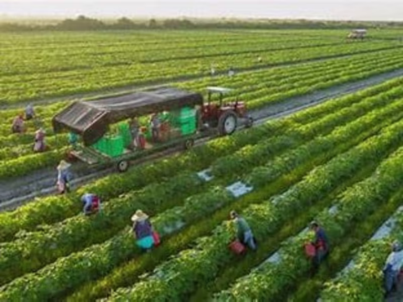 Cover image for Title: Cultivating Sustainability: The Imperative of Modern Agri