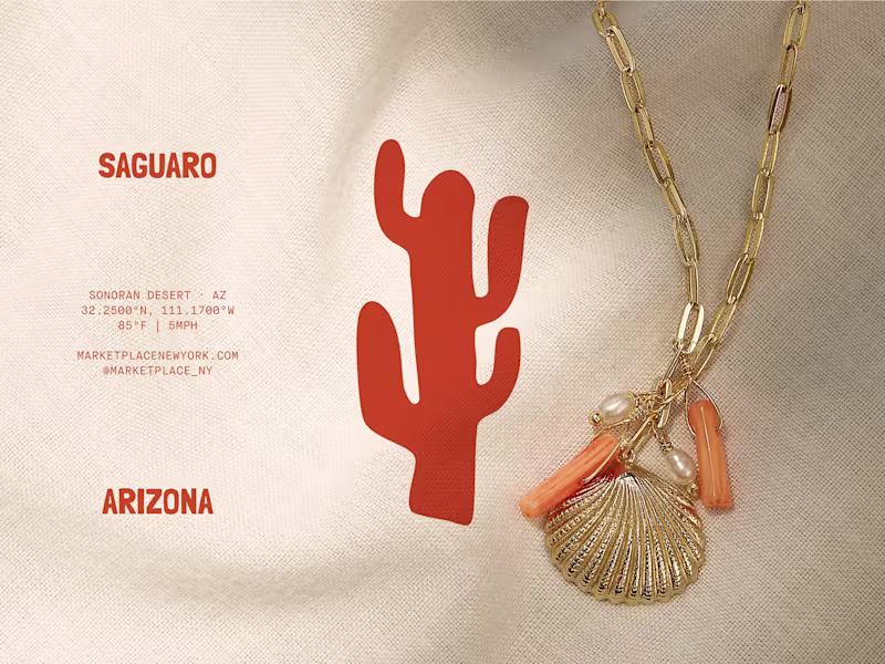 Cover image for Saguaro x MPNY