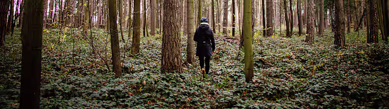 Cover image for Biodiversity and Conservation Management Master’s Degree Takes …