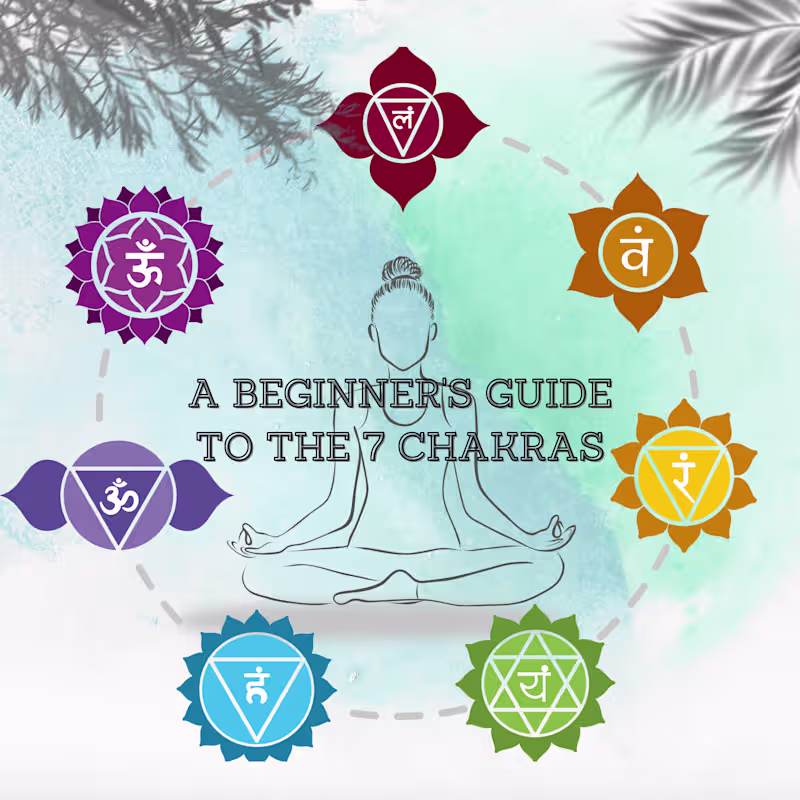 Cover image for Editable Canva Carousel Template: Beginner's