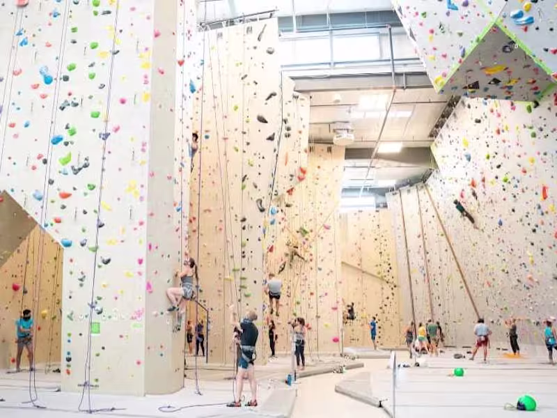 Cover image for The 5 Best Climbing Gyms in Denver (2022 Guide)