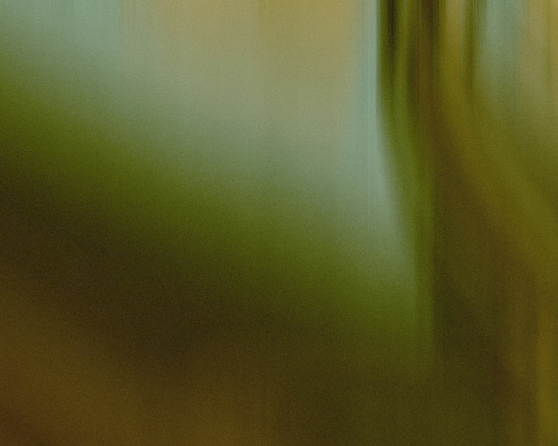 Cover image for Brand Partnership