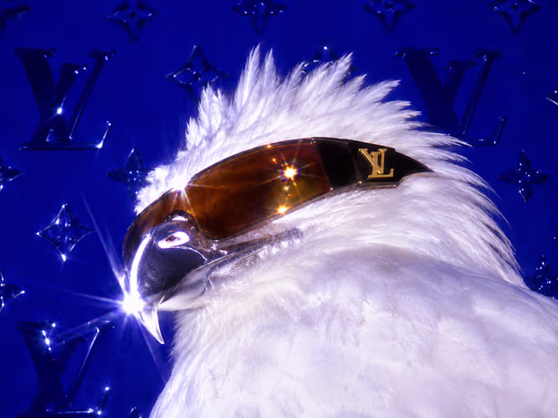Cover image for LV Spec Campaign 06
