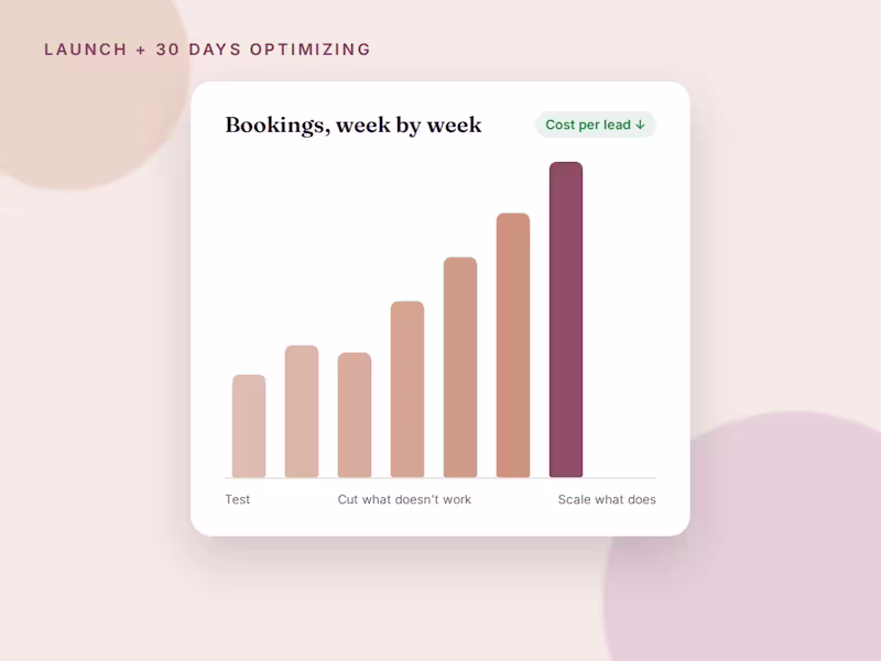 Cover image for Launch + 30 Days of Optimization