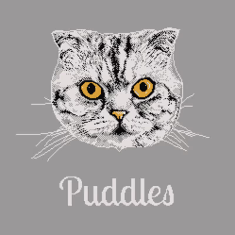 Cover image for Pixel Portraits