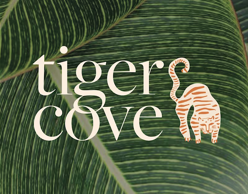 Cover image for Tiger Cove