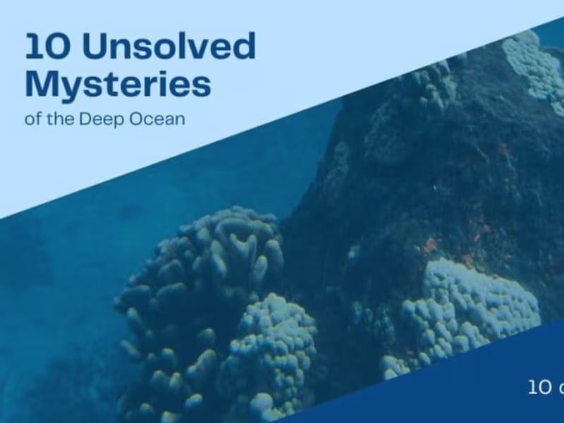 Cover image for Unsolved Mysteries of the Deep: Ocean's Oddities