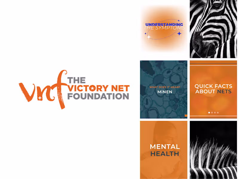 Cover image for Victory Net Foundation