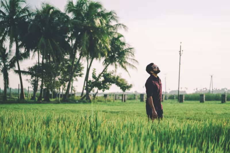 Cover image for Pinnani | பின்னணி