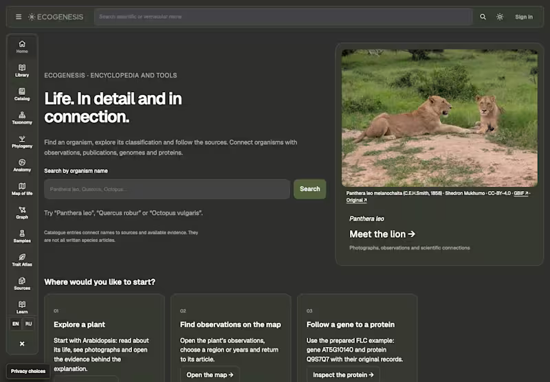 Cover image for A focused web app MVP
