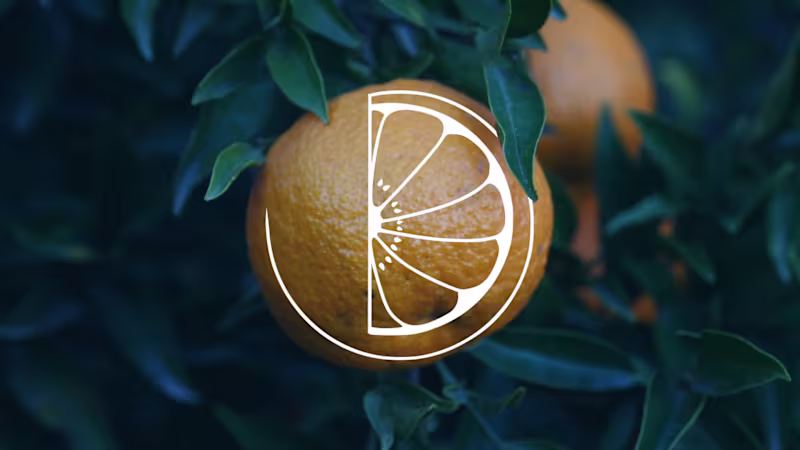 Cover image for Visual Identity for Nutritionist Daniele on Behance