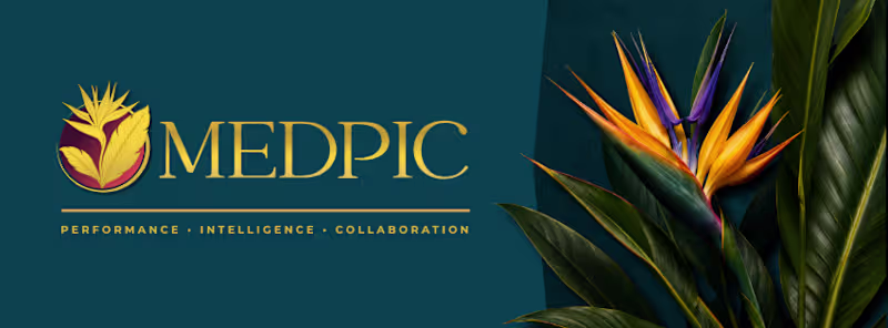 Cover image for MedPic LLC Custom Re-Branding and Marketing Strategies