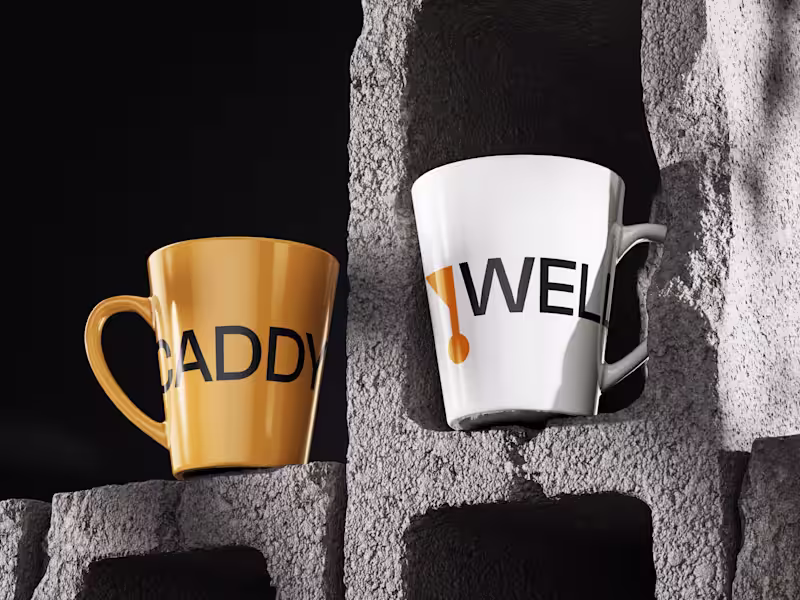 Cover image for Wellcaddy Brand Identity Development