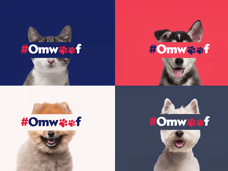 Cover image for 'Oh My Woof!' – Brand Identity & Naming