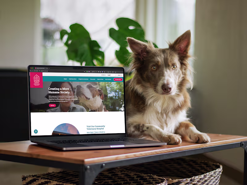 Cover image for Website Design