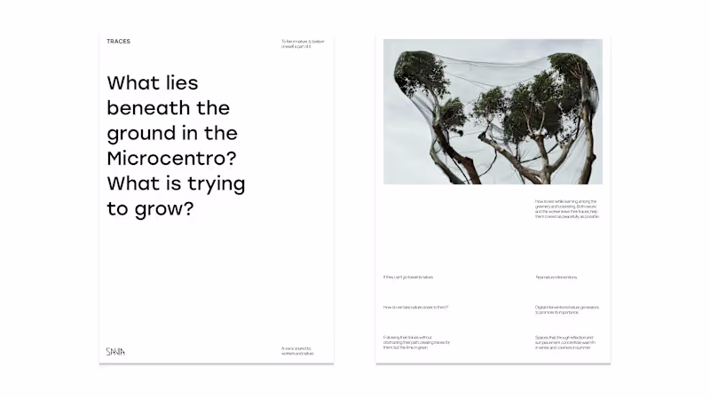 Cover image for Graphic Design for Creative Brands